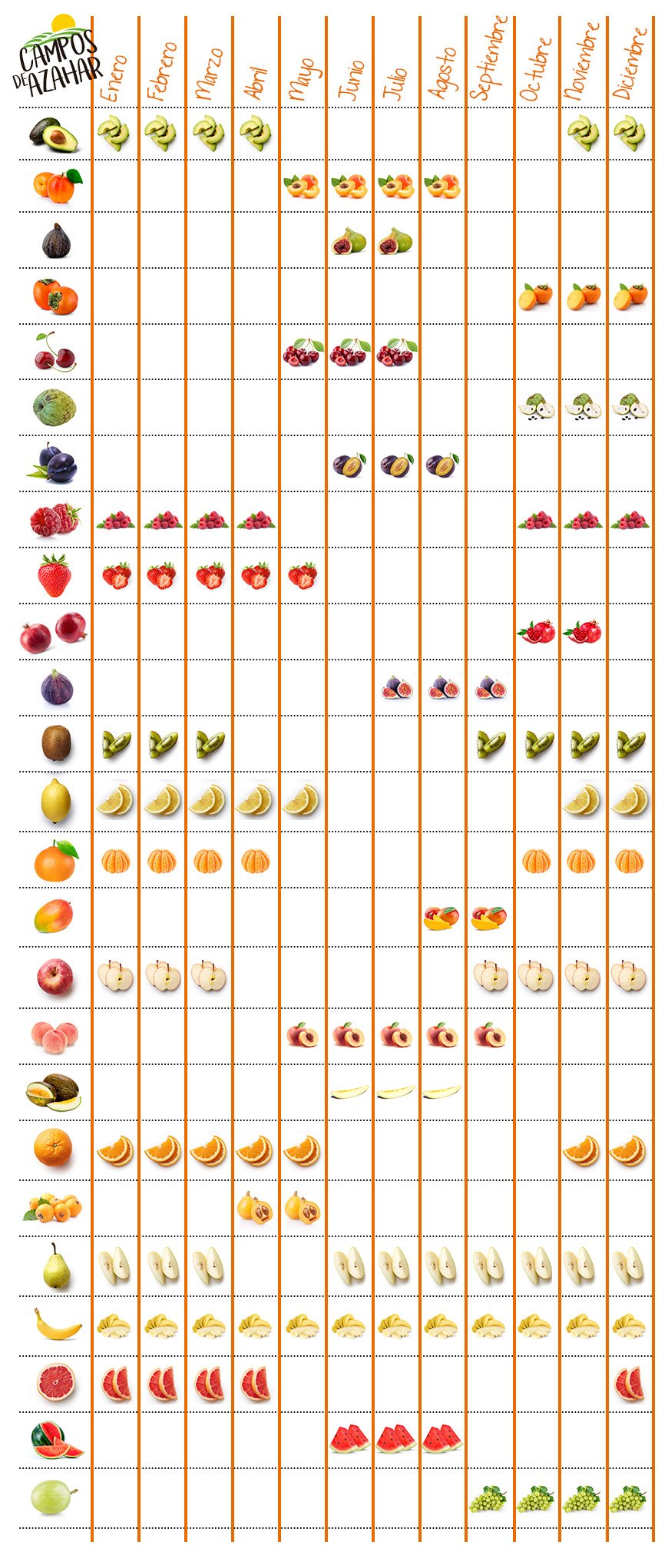 infografia fruta por meses - campos de azahar