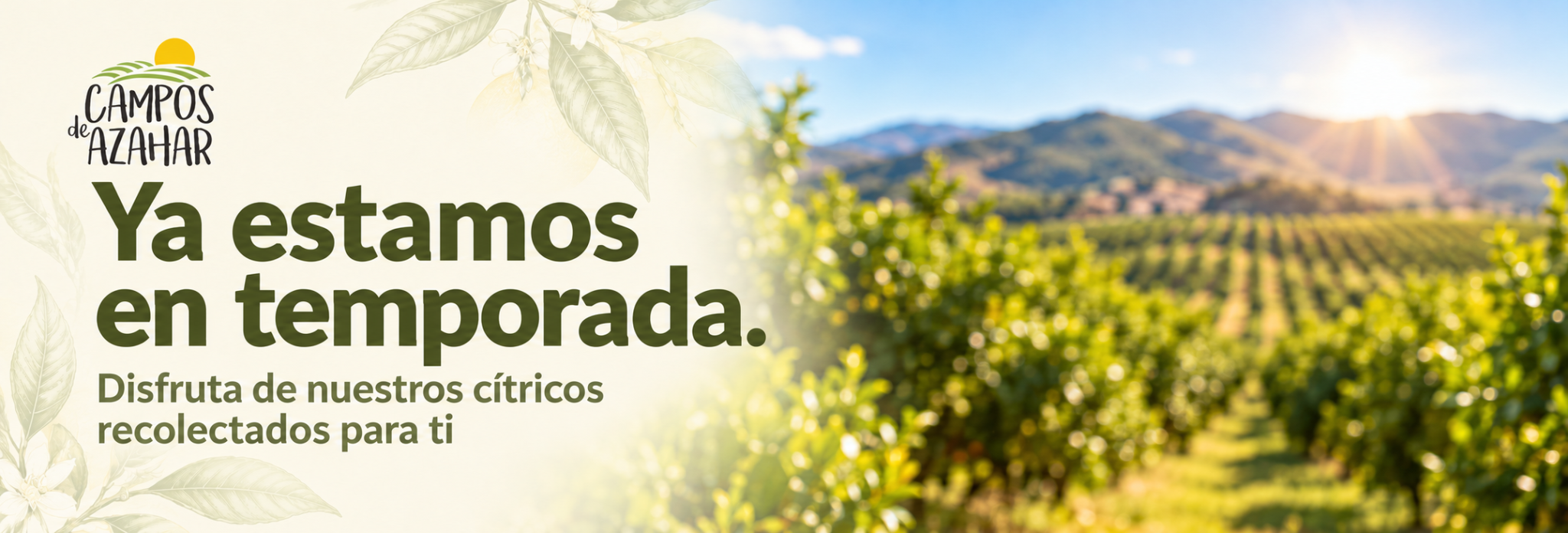 Ya estamos en temporada Campos de Azahar